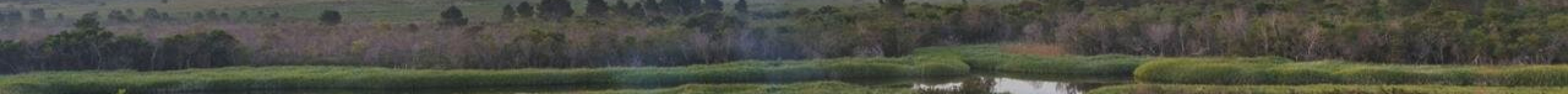 Zoetendal Vineyards & River Estate