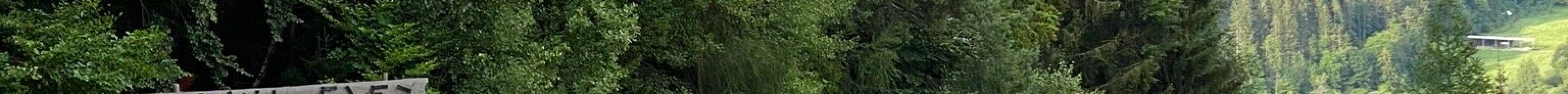 Kranjska Gora Bike Park