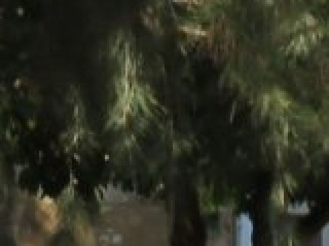 Plaza de Jeronimo Paez的图片