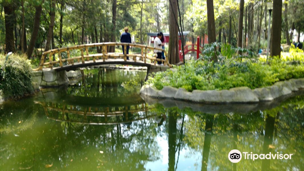 Parque Masayoshi Ohira旅游景点图片