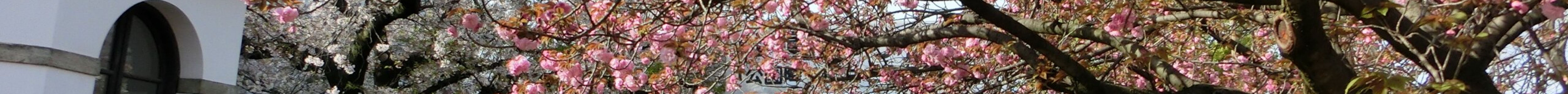 造币局