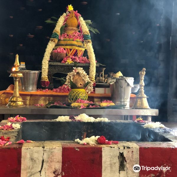 Sri Shivan Temple旅游景点图片