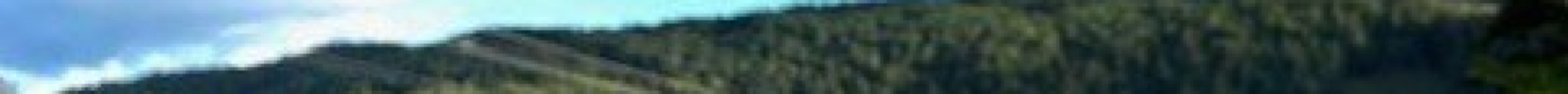 Salt Spring Wild Cider