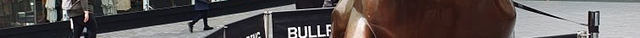 Bull
