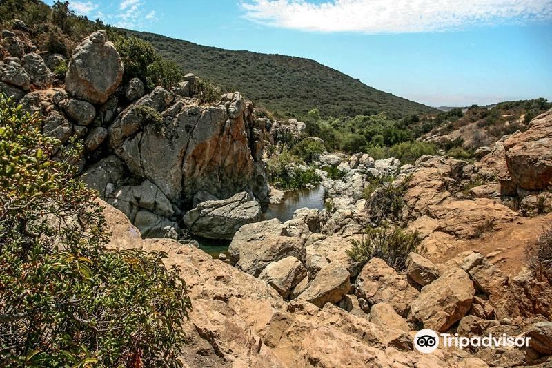 Los Penasquitos Canyon Preserve旅游景点图片