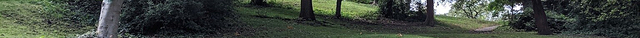 Brandon Hill Nature Park