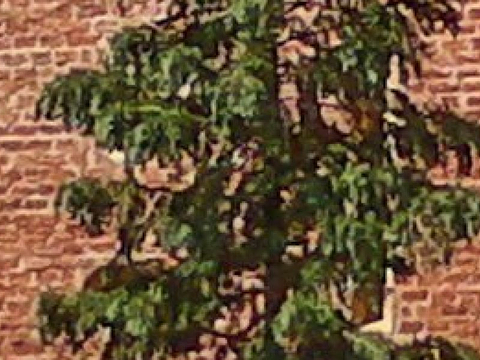 Franzensburg