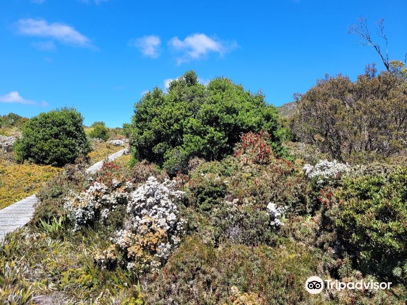 哈兹山地国家公园旅游景点图片