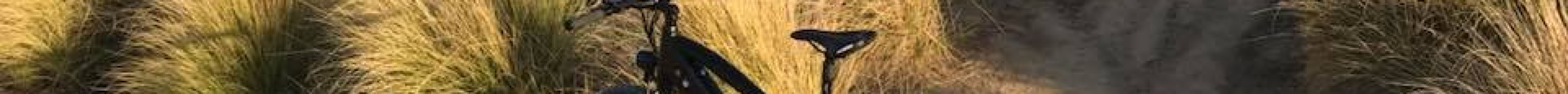 Pedego Electric Bikes Martha's Vineyard