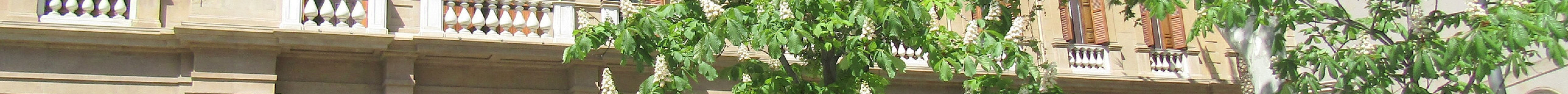 Antigua Capitania General Militar旅游景点图片