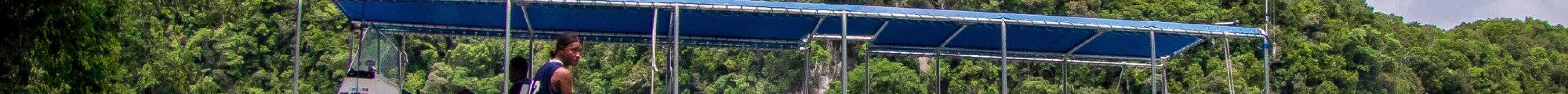 Palau Dive Adventures