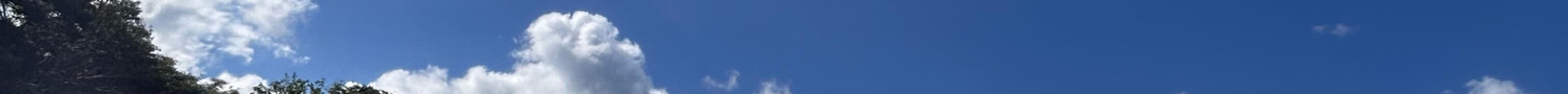 Yakushima Diving Guide Marine Club Kaiolohia