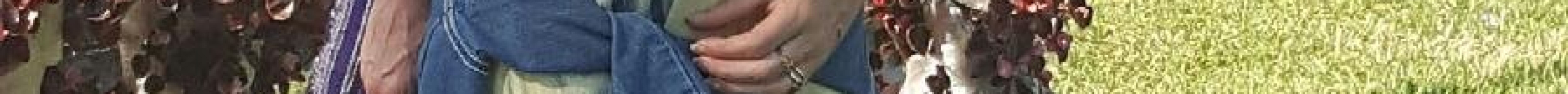 Pattys Berries and Bunches