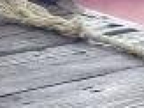 Museum Of Medieval Torture Instruments的图片