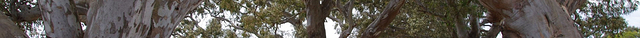 Lake Burrumbeet