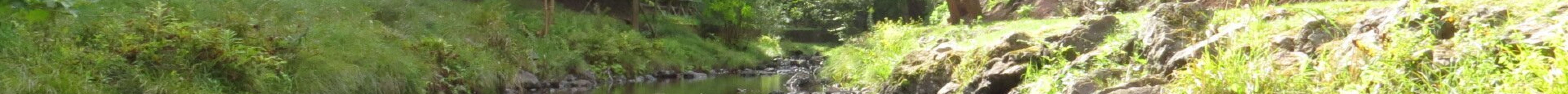 Victoria Park旅游景点图片