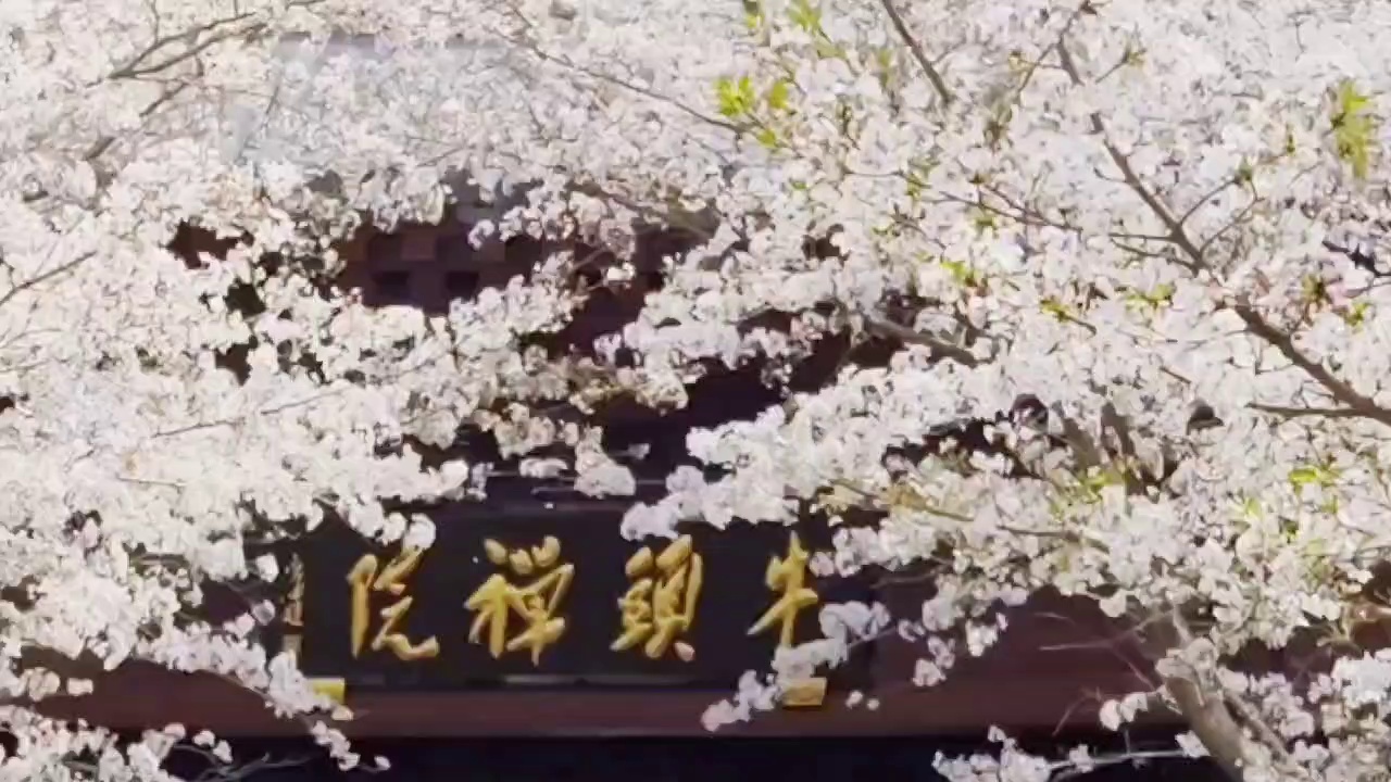 南京牛首山文化旅游区实拍图