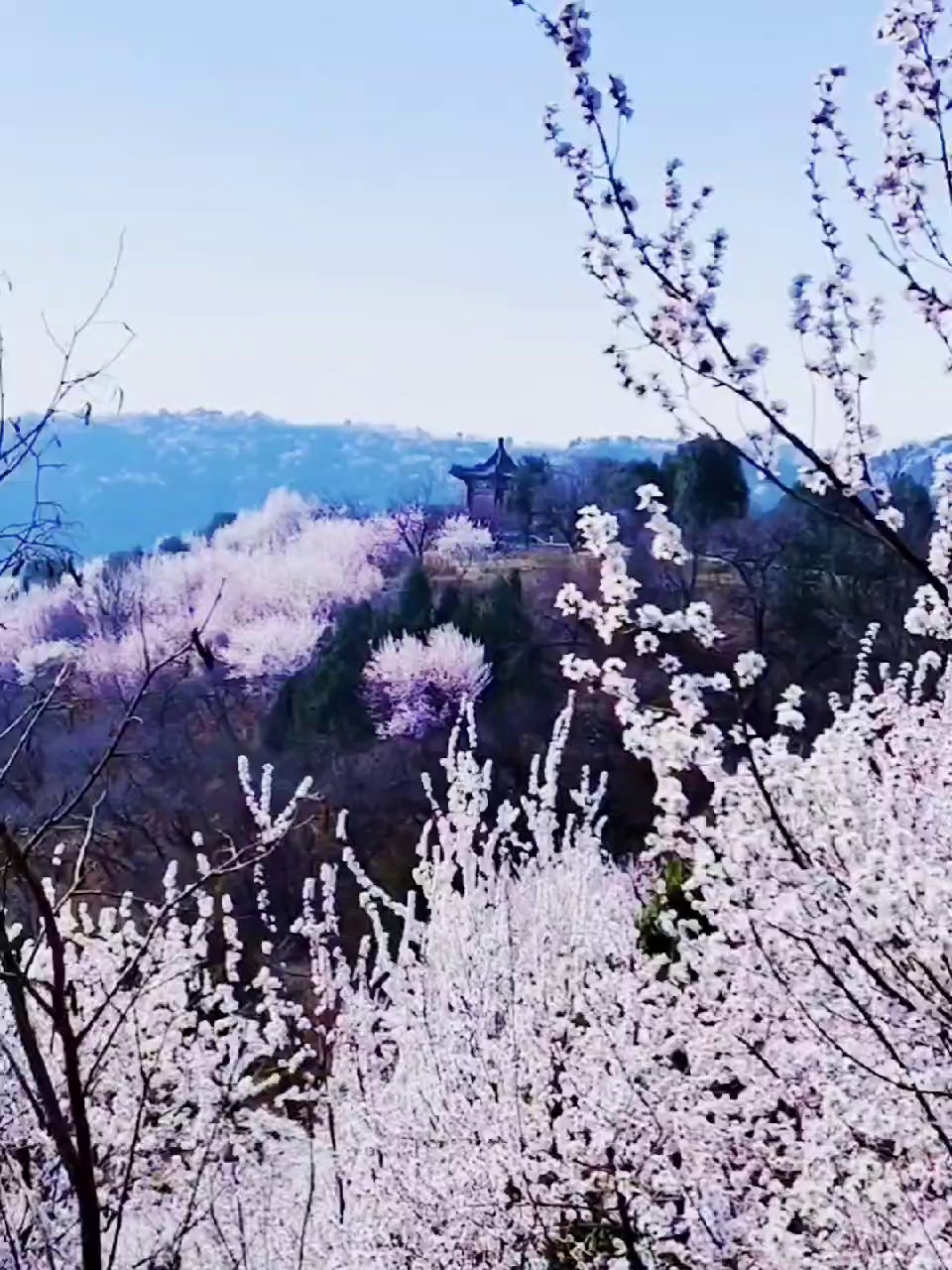 北京西山国家森林公园实拍图