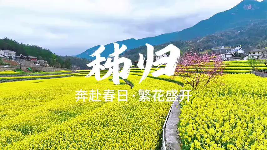 秭归实拍图
