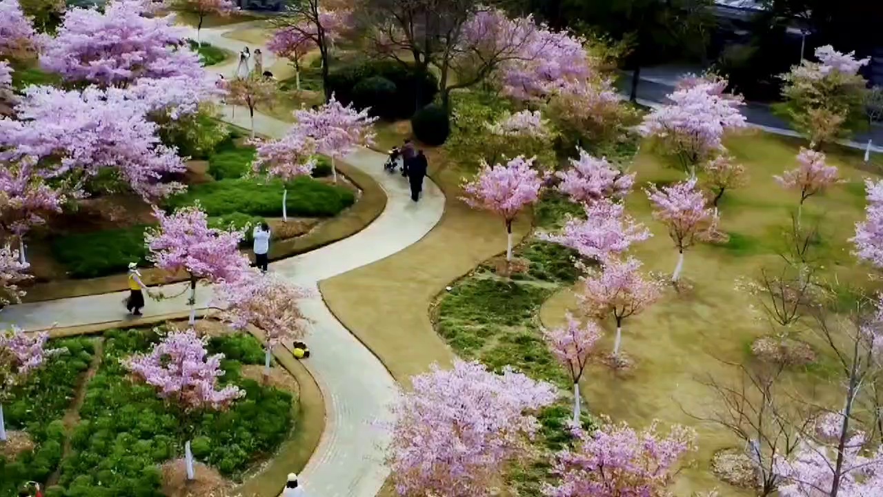 宁波植物园实拍图