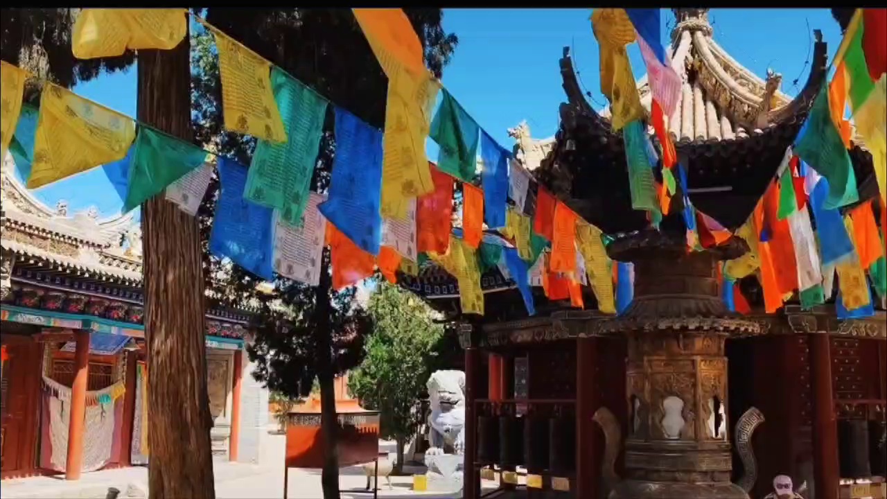 阿拉善盟延福寺实拍图