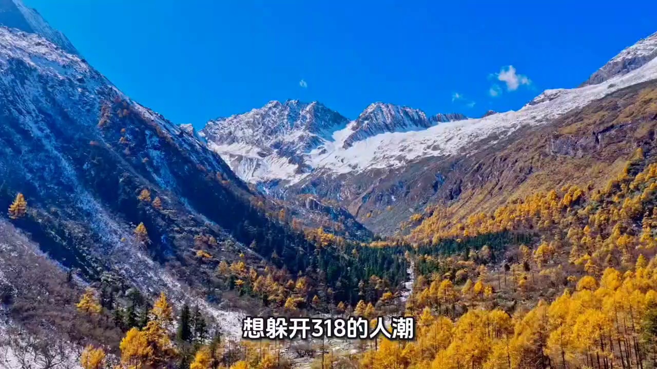小金理小路实拍图