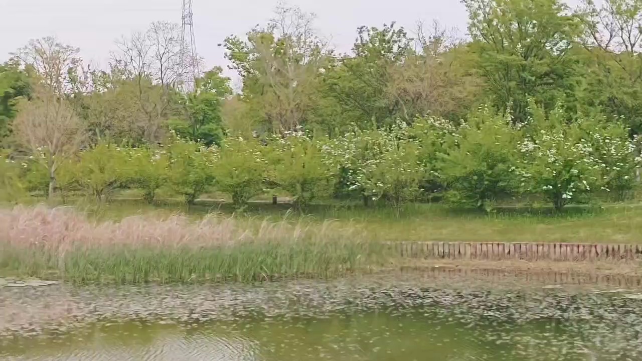 泰州实拍图