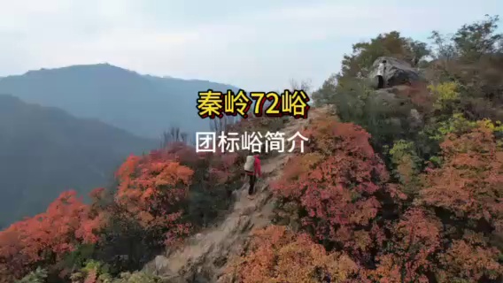周至团标村实拍图