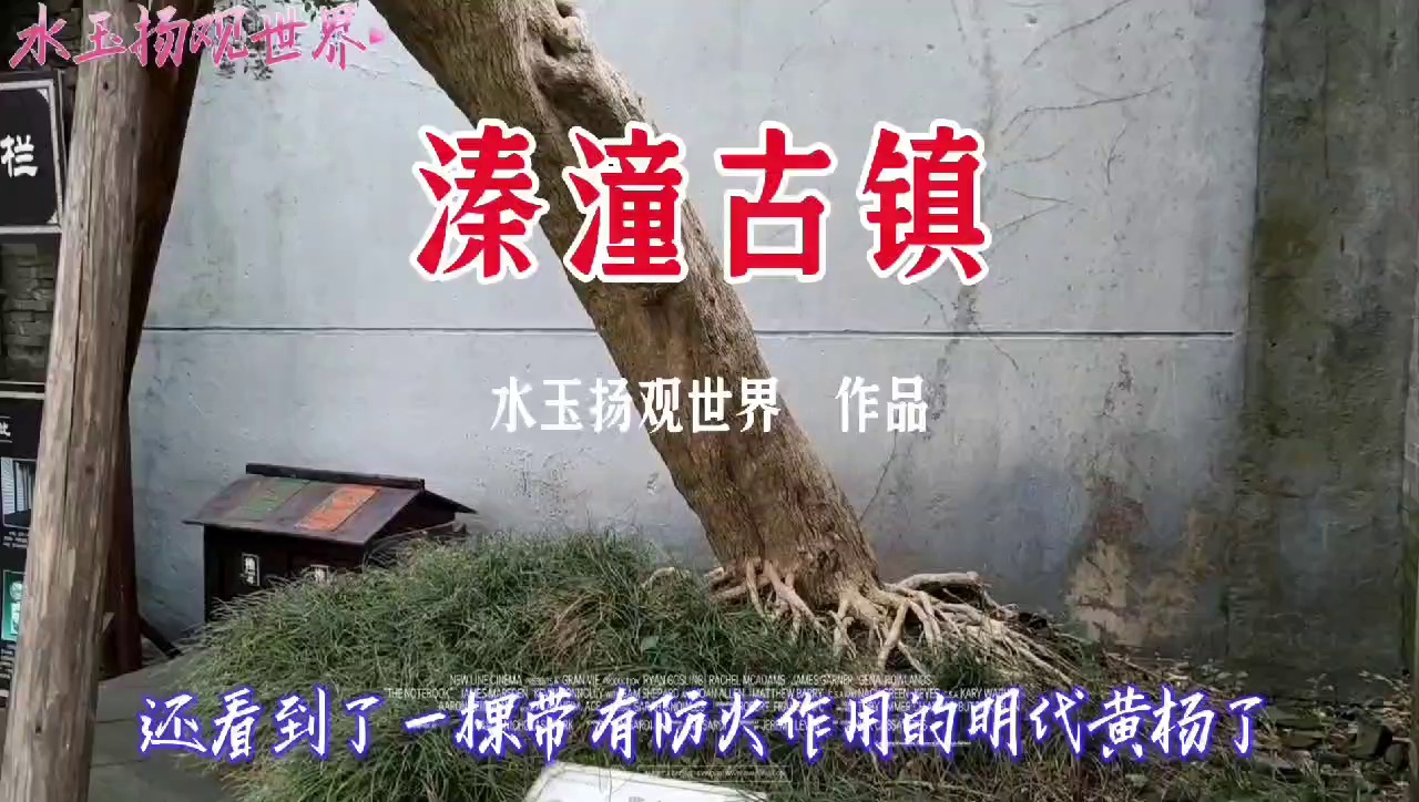 泰州溱潼古镇实拍图