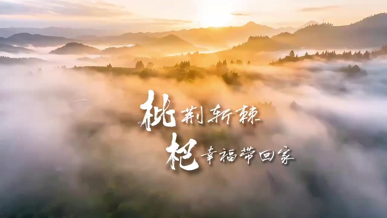 通山实拍图