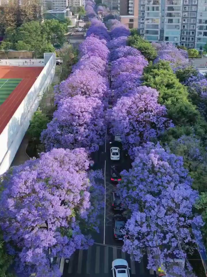 昆明教场中路实拍图