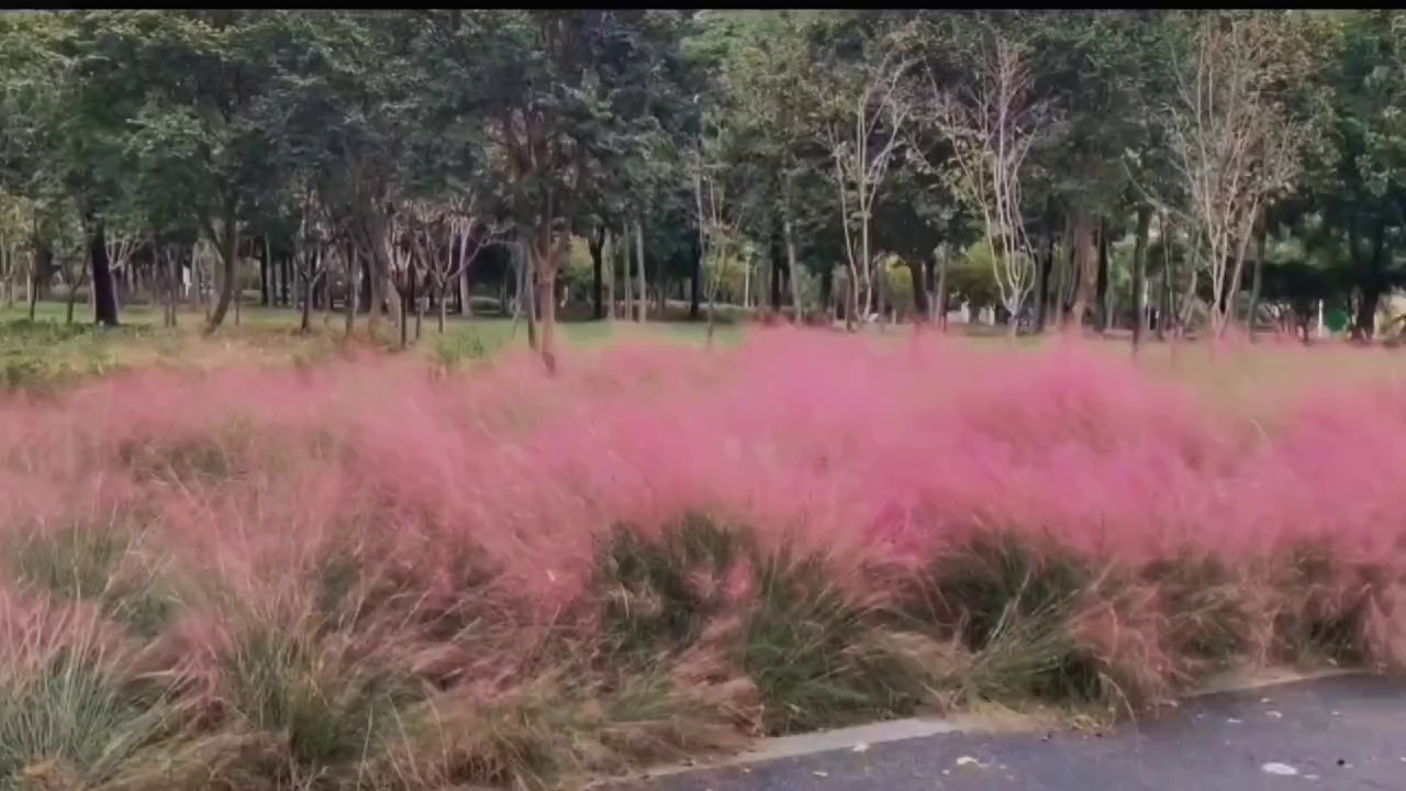 泰州上海实拍图