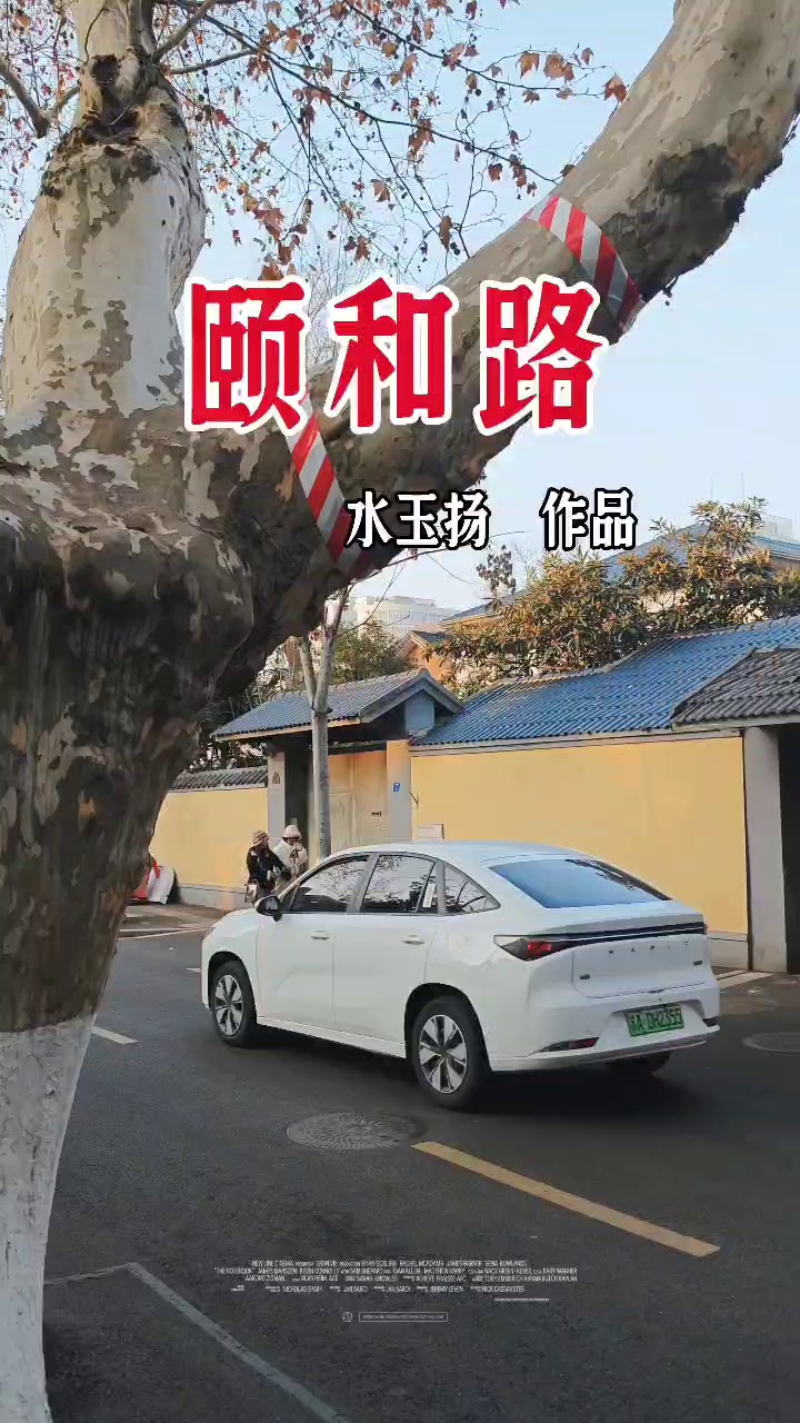 南京颐和路历史文化街区实拍图