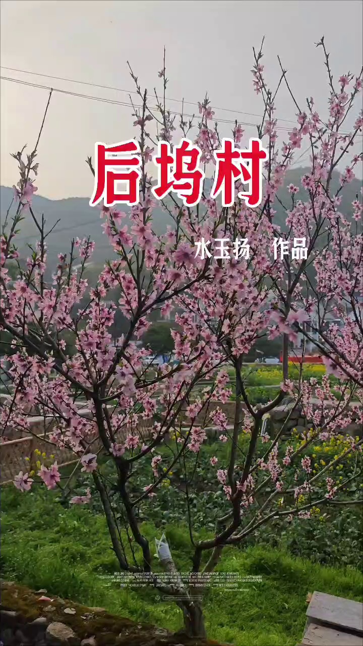 德清后坞村景区实拍图