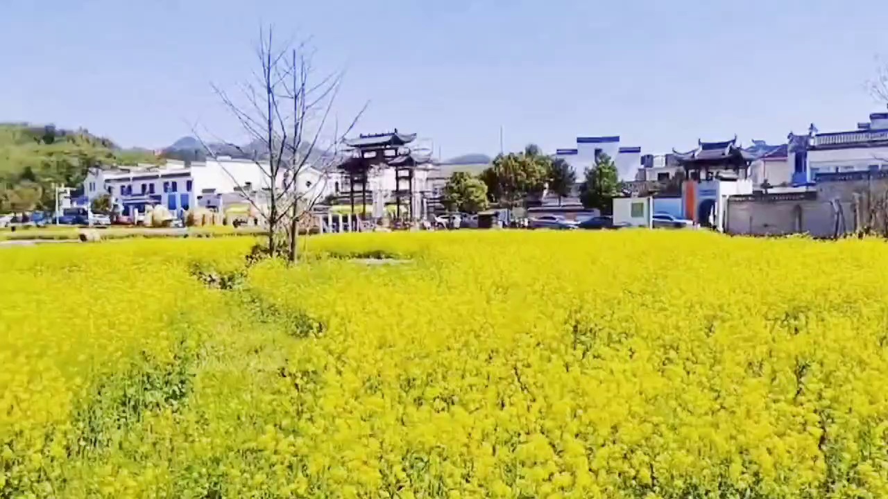 黟县西递实拍图