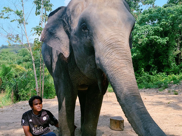 普吉岛奈迪大象保护营